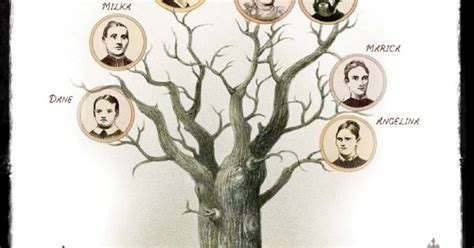 Nikola Tesla's family tree by Elizabeth Haidle. www.nikolateslagraphicnovel.com | Illustration ...