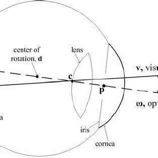 Illustration of eye misalignment: | Download Scientific Diagram