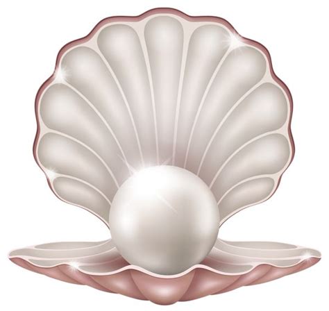 Beautiful Clam with Pearl PNG Clipart Image | Pearl images, Pearls, Very beautiful flowers