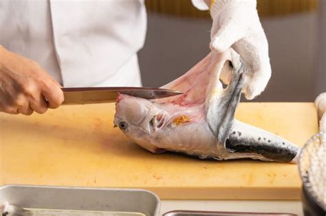 Fugu Pufferfish Workshop - The Hidden Japan