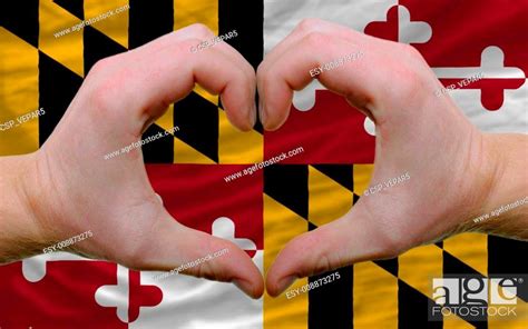 Gesture made by hands showing symbol of heart and love over us state flag of maryland, Stock ...