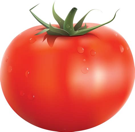 Is a tomato a fruit or a vegitable comment your opinion below ...