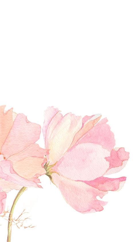 Light Pink Floral iPhone Wallpapers - Top Free Light Pink Floral iPhone Backgrounds ...