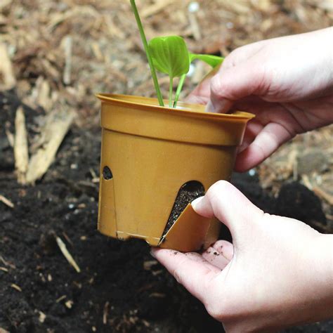 Biodegradable Seedling Pots 4" Set of 6 - Compostable - Made in USA - Seed Starting Pots & Kits ...