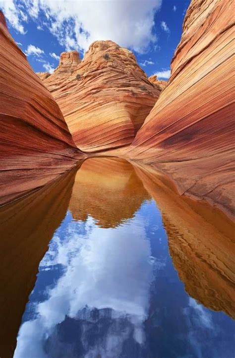 Rock The Wave: A Sandstone Sea In Arizona | The wave arizona, Arizona ...