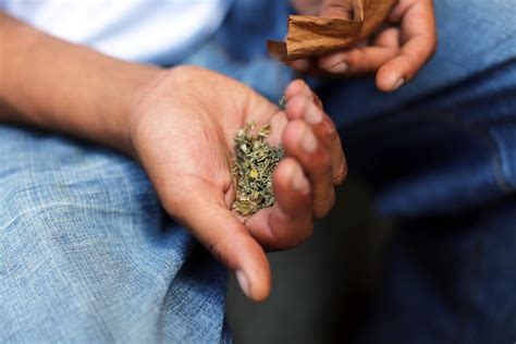 What is a Synthetic Cannabinoid? - Bolsa de Mulher