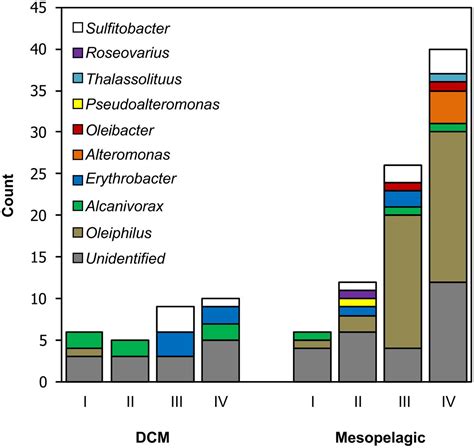 Frontiers | Isolation and Characterization of Bacteria That Degrade Phosphonates in Marine ...
