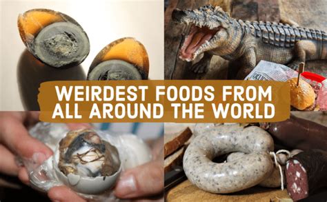 Weirdest Foods From All Around the World & + Like