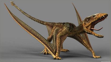 Dimorphodon双型齿翼龙属 Dimorphodon by sash4all on DeviantArt | Prehistoric animals, Dinosaur, Extinct ...