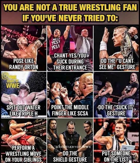 Ive done all No lie I do all of them everyday XD | Wwe, Wwe funny, Wrestling memes