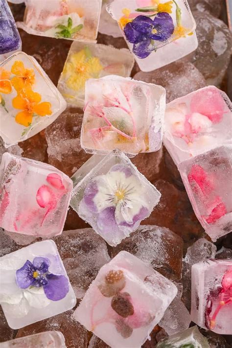 Edible Flower Ice Cubes | Flower ice, Flower ice cubes, Dinner party summer