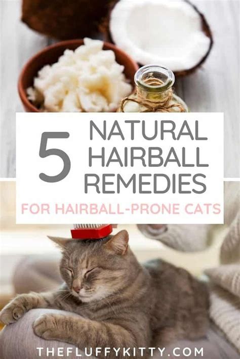 Is There A Natural Hairball Remedy for Cats? - Fluffy Kitty | Cat remedies, Hairball, Natural ...