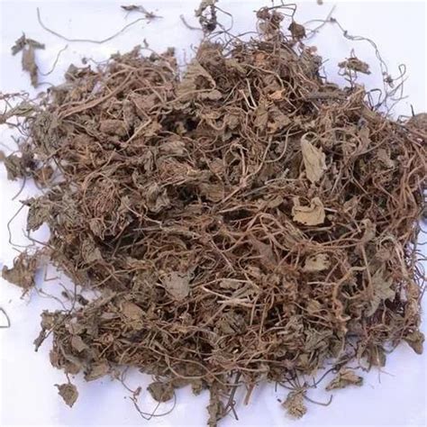 Brahmi Dry Leaves, Packaging Size: 5Kg, Packaging Type: HDPE Bag at Rs ...