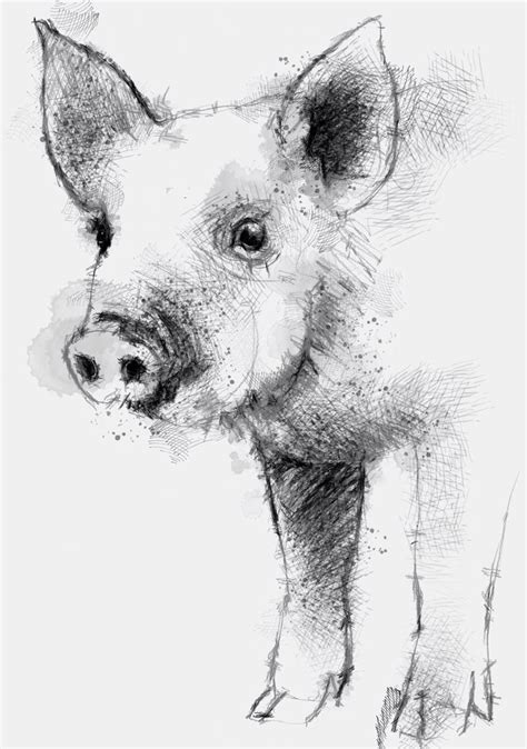 Piglet | SeanBriggs | Pencil drawings of animals, Animal drawings, Pig art