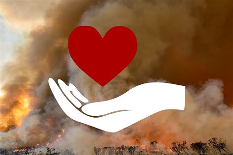 How to Help With The Texas Wildfire Disaster