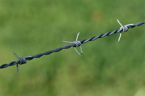 File:Barbed Wire, SC, Victoria, 15.9.2007.jpg - Wikimedia Commons