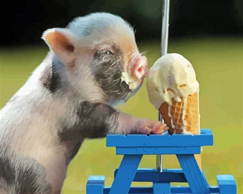 Pig Eating Ice Cream Paint By Numbers - Paintings by Numbers