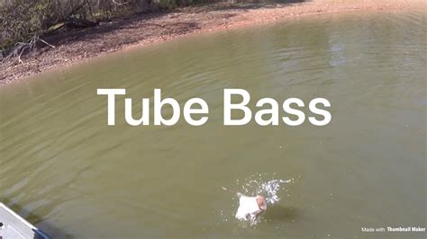 Bass Fishing with Tubes for the first time at Cane Creek Reservoir Featuring (Nc Fish On) - YouTube