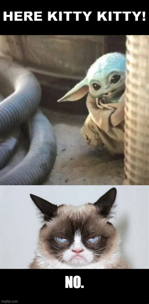 Baby Yoda Grumpy Cat Meme - Imgflip