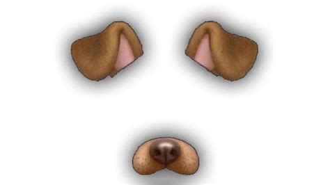 Petition · Snapchat users: Ban the dog filter from people who abuse it · Change.org