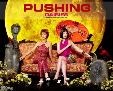 Lee Pace - Pushing Daisies Photo (755886) - Fanpop