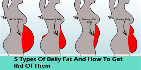 5 Types Of Belly Fat And How To Get Rid Of Them - TrainHardTeam