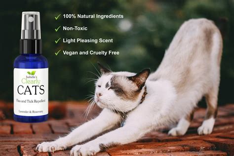 Natural Flea and Tick Repellent for Cats | Safe Essential Oils | Non ...