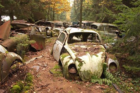 Car graveyard 1 stock photo. Image of environment, vintage - 22715940