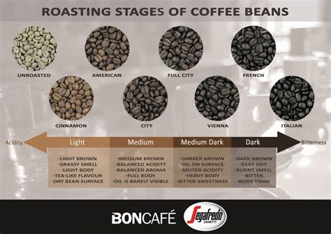 Coffee Bean Types Chart | Kemele