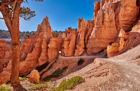 travel4pictures | Bryce Canyon, Navajo Loop trail II 09-2018