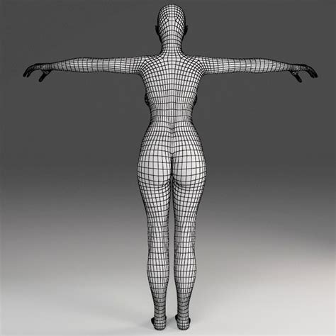 3d female body model
