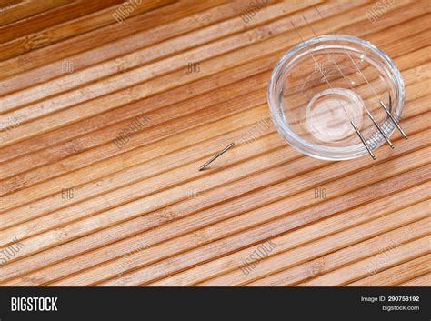 Acupuncture Needles. Image & Photo (Free Trial) | Bigstock