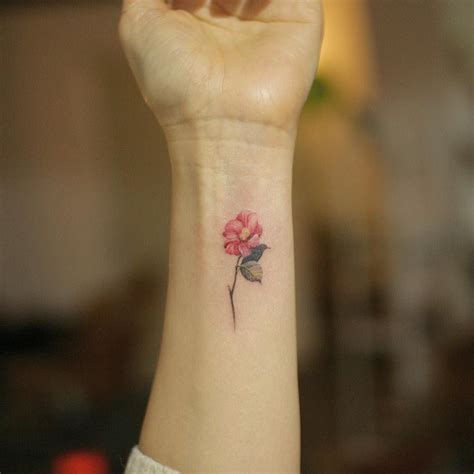 camellia 동백 | Tattoos, Tatt, Tatoos