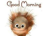 9 Good morning gif funny ideas | morning quotes funny, good morning funny, funny good morning quotes