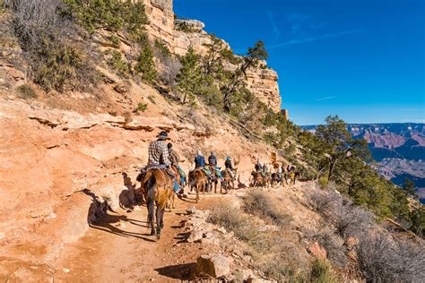 5 best hikes in Grand Canyon National Park - Lonely Planet