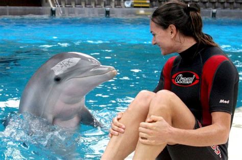 Do Dolphins Want To Talk to Humans?*