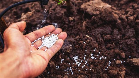 5 Benefits of Doing a Garden Soil Test