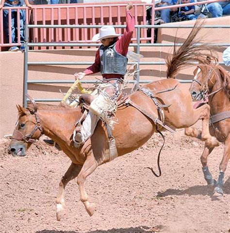 Consistency pays off for saddle bronc rider - Navajo Times