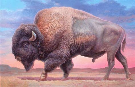 american buffalo painting - Google Search | Buffalo painting, Native american art, Buffalo pictures