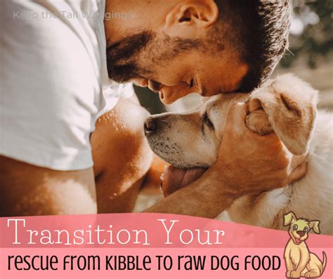 How To Transition To Raw Dog Food