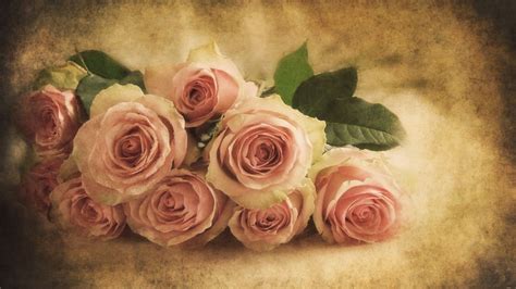 Vintage Close-Up of Pink Roses on Paper