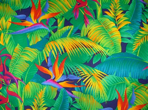 BIRD OF PARADISE | Tropical print wallpaper, Tropical prints pattern ...