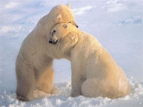 Imagenes De Amor Parejas - Imágenes De Amor Para Portadas De Facebook ...