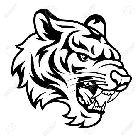 Tigers Face Drawing at GetDrawings | Free download