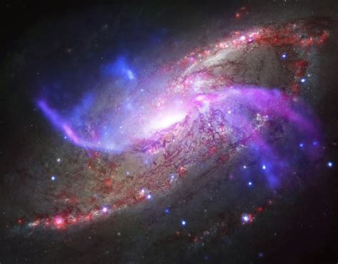 A1689B11: 11 billion-year-old spiral galaxy is the oldest ever discovered
