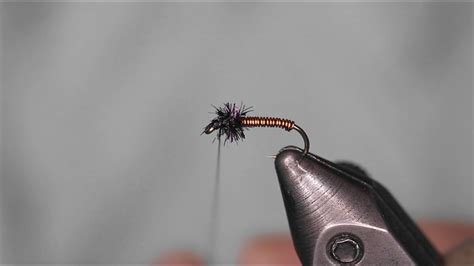 Fly Tying: Brassie - YouTube