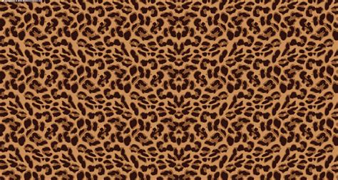 🔥 Download Wallpaper Cute HD Leopard Print Animal by @dwilliams16 ...