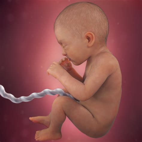 Pictures Of Babies Born At 32 Weeks Pregnant