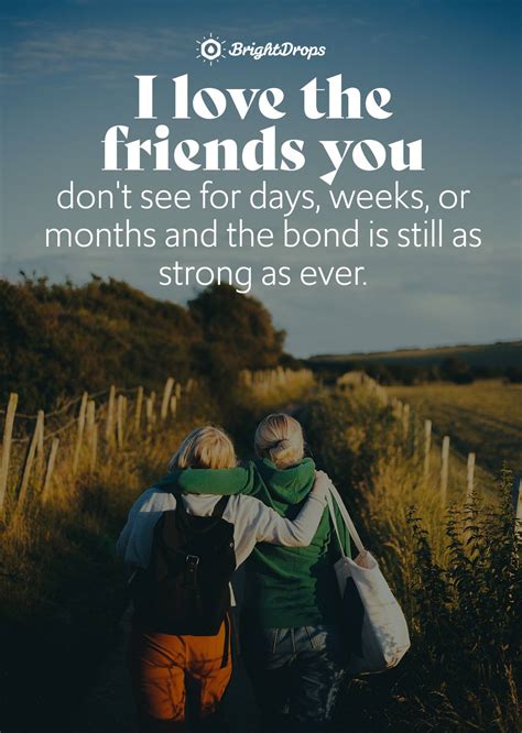 31 Too True (And Relatable) Friendship Quotes for Best Friends - Bright Drops
