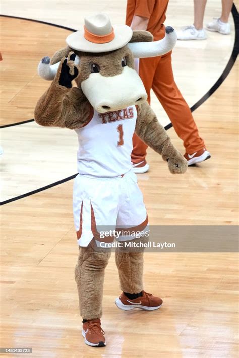 The Texas Longhorns mascot on the floor during the Elite Eight round ...